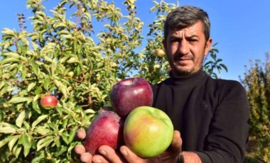 Ahlat'ta hasat başladı: 4 bin ton hasılat bekleniyor... Her renkten var