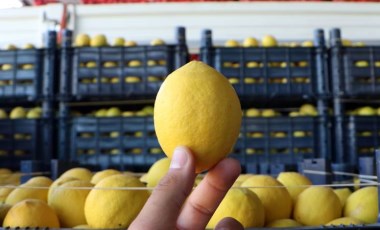 Markette 37 üründen 29’unun fiyatı arttı: Limonda tarladan markete fiyat farkı 6,5 kat!