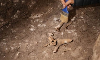 Mardin'deki kazılarda 1500 yıllık Anadolu leoparı kemikleri bulundu