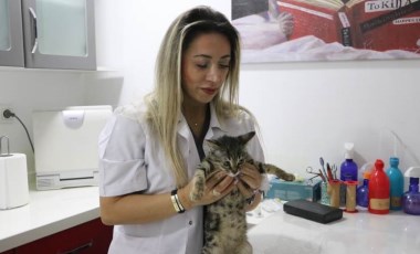 Evcil hayvan alerjisini aşıyla yendi: 20 yıldır kedi-köpek tedavi ediyor