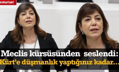 Meral Danış Beştaş Meclis kürsüsünden iktidara seslendi: Kürt'e düşmanlık yaptığınız kadar...