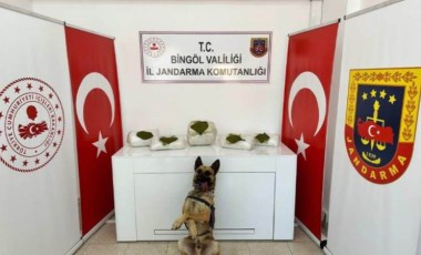 Bingöl’de toprağa gömülü uyuşturucu ele geçirildi