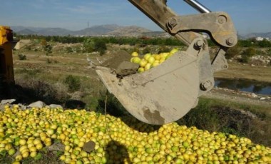 Kozan'da 'limon' krizi: Bahçede 30 kuruşa, markette 12 lira! Tonlarcası dere yatağına döküldü...