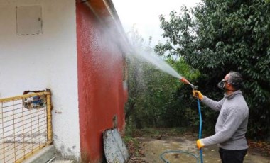 Karadeniz’in yeni kabusu: Fındık rekoltesine yüzde 10 zarar verdi