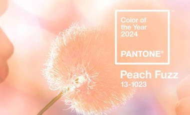 Pantone 2024 yılının rengini seçti: Şeftali tüyü