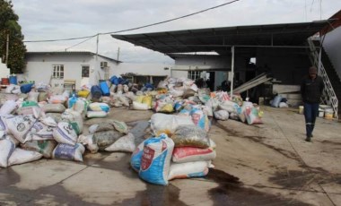 Aydın'da hasat ve sıkım sezonu erkene çekildi: Rekolte düşük