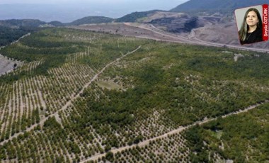 Koza’ya Giresun için onay... Tarım arazisinde altın arayacaklar