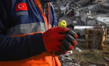 Depremden 97 saat sonra enkazda bulunan muhabbet kuşuna 'Mucize' adı verildi