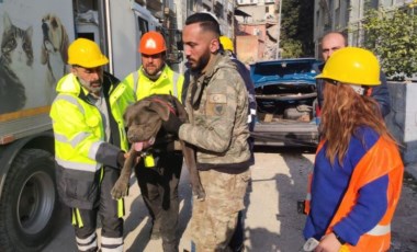 İzmir ekipleri deprem bölgesinde 126 köpek, 101 kedi kurtardı