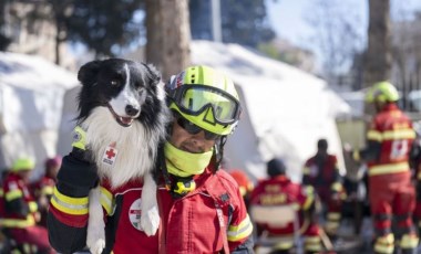 Arama kurtarma köpekleri, dünyanın dört bir yanından can kurtarmak için geldi