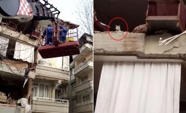 Ağır hasarlı binada yardım bekleyen kedi Pars, 13 gün sonra kurtarıldı