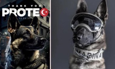 Arama kurtarma köpeği Proteo'nun Sarıyer'e heykeli dikilecek