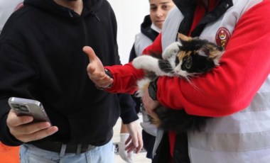 Kahramanmaraş'ta enkazdan kurtarılan 400 kedi ve köpek tedavi edildi