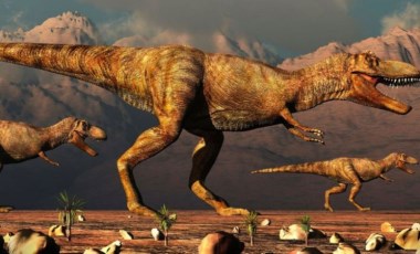 T-Rex gibi dinozorlar neden devasaydı?