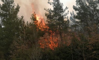 Tokat'ta orman yangını: 5 dönümlük alanda etkili oldu