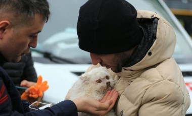 Diyarbakır'da çöken iş merkezinin enkazından bir kedi kurtarıldı