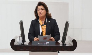 CHP Milletvekili Suzan Şahin kimdir, kaç yaşında? Suzan Şahin nereli?