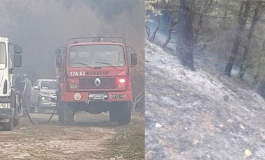 Edirne'de orman yangını: 4 dönüm alan zarar gördü