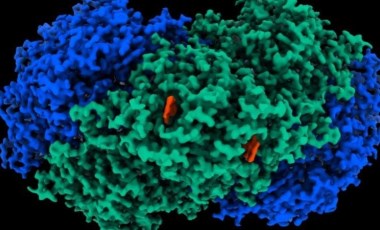 Havayı elektriğe çevirebilen yeni bir enzim keşfedildi