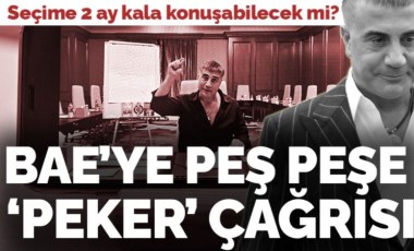 Gelecek Partili Özdağ ve Memleket Partili İnce'den BAE'ye 'Sedat Peker' çağrısı