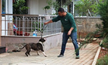 Apartmanda 4 saat 'pitbull' esareti