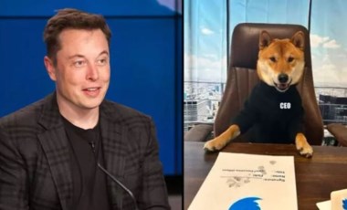 Elon Musk köpeğini Twitter'a CEO olarak atadığını açıkladı