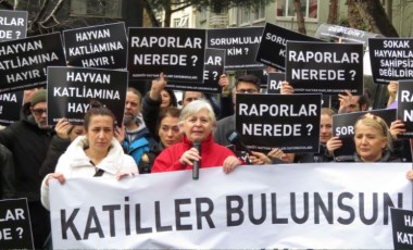 Kadıköy'de hayvanseverlerden 'Katiller bulunsun, hesap sorulsun' pankartlı eylem