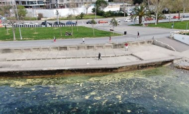 Marmara'da endişelendiren görüntü: Kabus geri mi dönüyor?