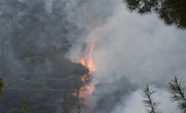 Bilecik'te ormanlık alanda yangın çıktı: Ekipler müdahale ediyor