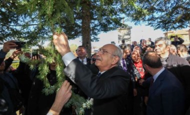 Kılıçdaroğlu marteniçkasını ağaca bağladı