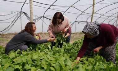 Selvi Kılıçdaroğlu, Çatalca'da ziyaretlerde bulundu: Bahçelerimizden umut biçeceğiz