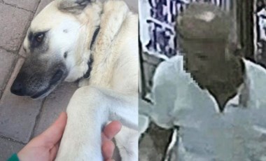 Köpeği aracına bindiren servis şoförüne cinsel saldırı iddiasıyla gözaltı