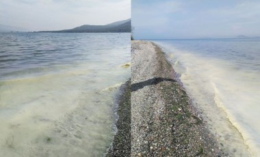 Uzmanlardan 'müsilaj' uyarısı... Tekirdağ, Mudanya, Gemlik Körfezi ve Erdek de risk altında!