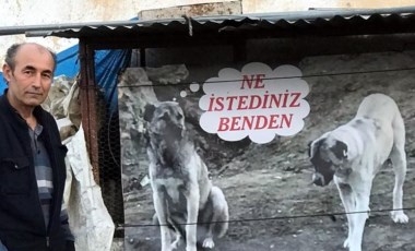 Köpeğinin zehirlenerek öldürülmesine pankartla tepki gösterdi: 'Ne istediniz benden'