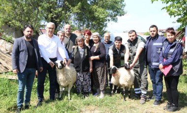 Koyunları ölen kadın üreticiye Aydın Büyükşehir Belediyesi'nden destek