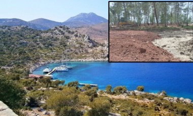 Muğla’da doğa katliamını yargı da durduramadı