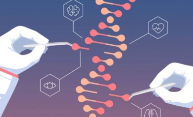 CRISPR-Cas9 bir panzehirin keşfinde kullanıldı