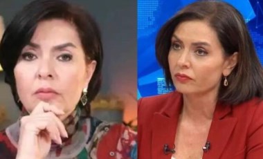 Özlem Gürses kimdir, nereli, kaç yaşında? Özlem Gürses ne iş yapıyor? Özlem Gürses, Sinan Oğan'dan neden özür diledi?