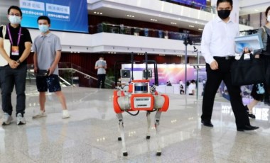 Hayvanlardan ilham alınan robotlar araziyi tanımak için eğitildi