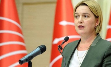 CHP Genel Sekreteri ve Gölge Kabine Koordinatörü Selin Sayek Böke kimdir? Selin Sayek Böke kaç yaşında, nereli?