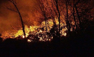 CHP'li belediyelere orman yangını riskine karşı 'tedbir' talimatı