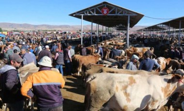 Şap karantinası sonrası Sivas'ta 'kurban pazarı' kararı