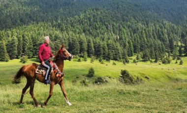 'Yaraları turizmle saralım'