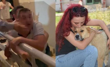 Köpeğe 'tekme' iddiası ortalığı karıştırdı: İki komşu birbirine girdi