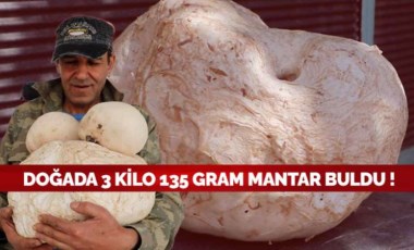 Doğada üç kilogram yüz otuz beş gram mantar bulundu!