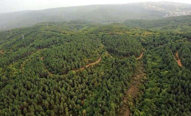 Bursa, Çanakkale ve Kütahya'da ormanlık alanlara girişler yasaklandı!