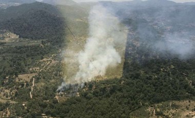 İzmir Bergama'da orman yangını!