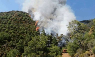 Marmaris'teki orman yangınının arkasından cinayet çıkmıştı: Cesedin kimliği belli oldu