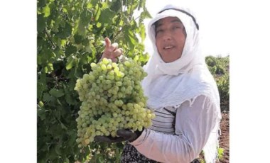 Karaciğer nakli yapılan kadın evinde ölü bulundu