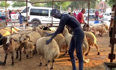 'Örümcek Adam' kurban pazarlığında: ‘Dini görevimizi yerine getirdik’